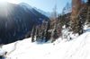 winter view