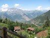 Summer view