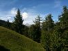 summer view