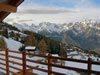 Winter-view