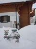 SDC10316